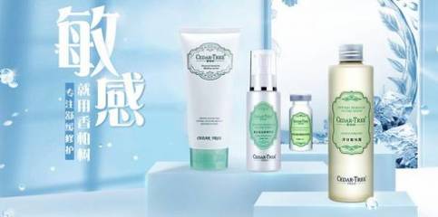 上海利加化妆品网站建设 创意设计与代理合作效果展示